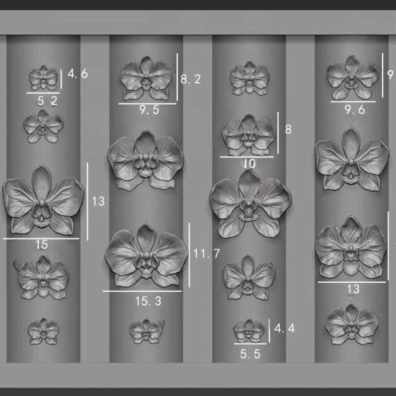 Nail Art Zone - Z. 3D 팔레놉시스 꽃 실리콘 네일
